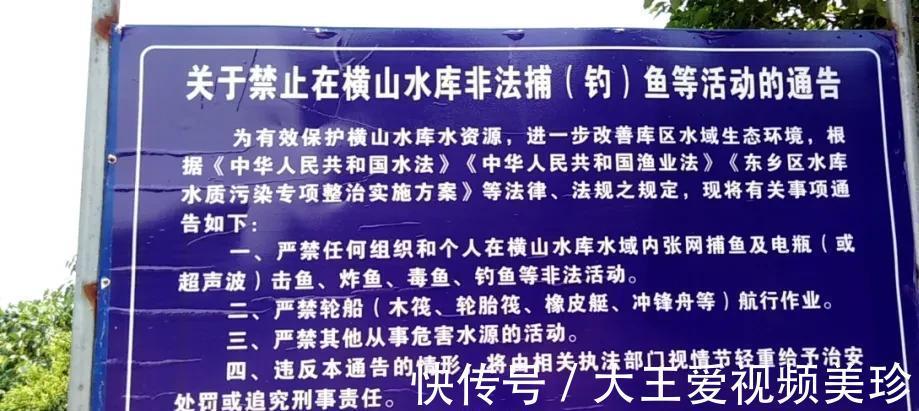 钓鱼|江西男子水库钓鱼20斤,不顾劝阻还戏称“很好玩”,最后被拘留