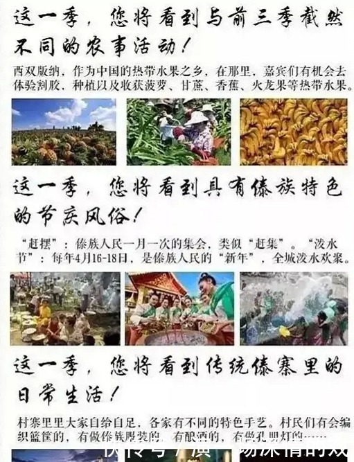 西双版纳|《向往的生活》第四季来袭，常驻嘉宾没有换，艺人嘉宾才是亮点！