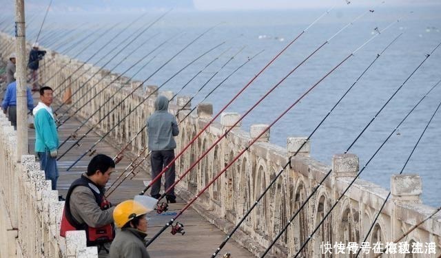 主因|野钓为何不喜欢海竿阵渔获是其次，主因实属无奈