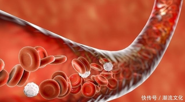 无论男女年过40岁,都要养血管,少吃3、多吃2,预防心血管疾