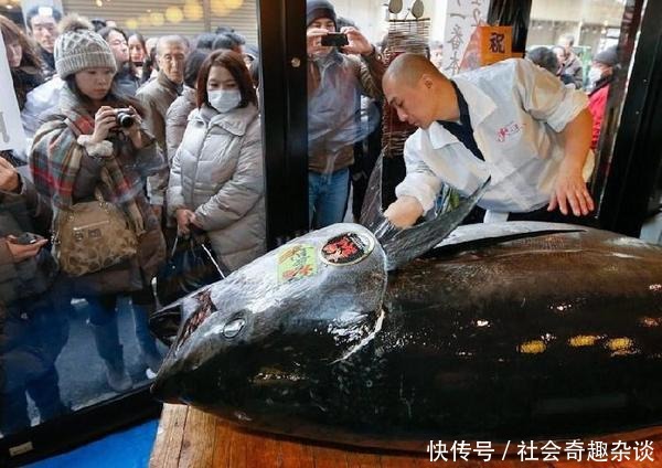  寄生虫|为啥日本人吃生鱼片，体内却没有寄生虫？看完你还敢吃吗？