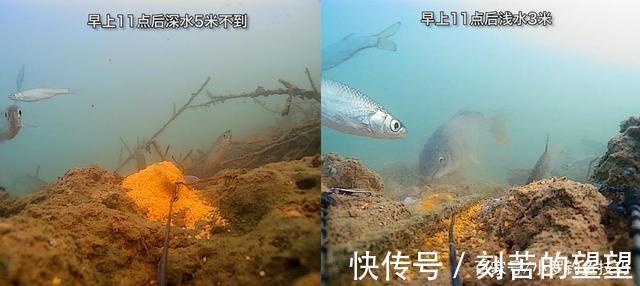 冬季钓鱼,什么时候钓深钓浅鱼窝这样找,深浅都能上鱼