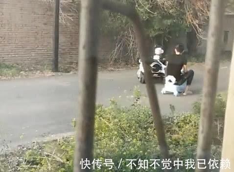 奶爸|“大顽童奶爸”被娃带着玩走红,宝宝:现在的大人可真难带