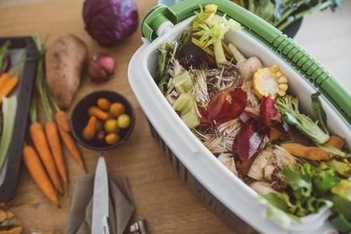 这些垃圾废料拿来养花,你以为是“青铜”,结果全是“王者”