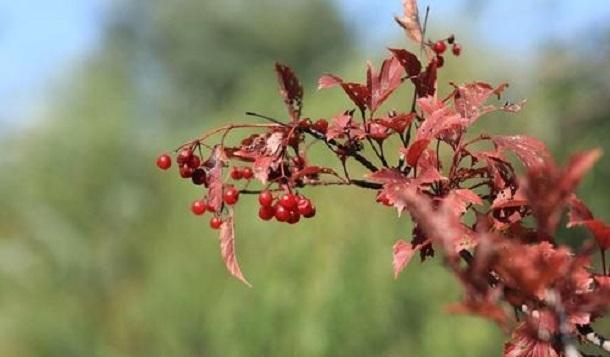 做人,不可好高骛远,更不可小看自己