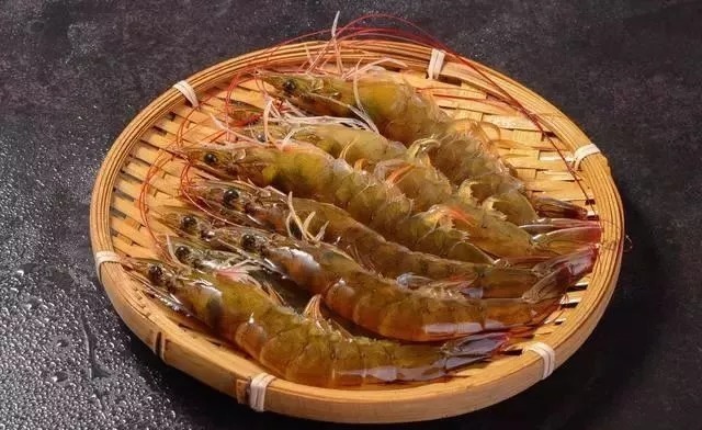 立冬后鱼口变轻如何破?不用调整技巧,使用这一物大鱼疯狂聚集!