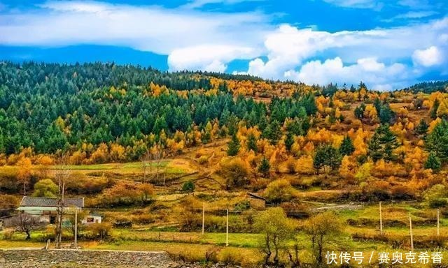 风景|川西最美季节已来临~秋色不等人，此生必去一次