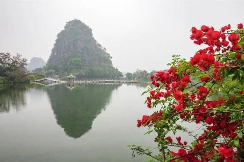 有一种红，叫簕杜鹃；有一种美，叫星岩烟雨!