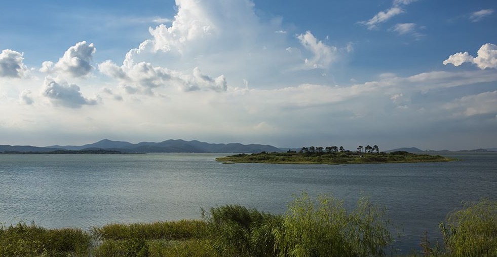 老汉|老汉赶鸭子发现古墓,盗墓贼出十万他不为所动,自此揭开地下宝库