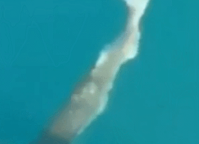 大鱼|中了一小鱼,结果一大鱼咬着小鱼不放,一抓就得,这鱼是吃货吗?