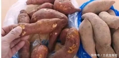 保存红薯一年不烂,农村老人教我诀窍,第一步才是关键,越放越甜