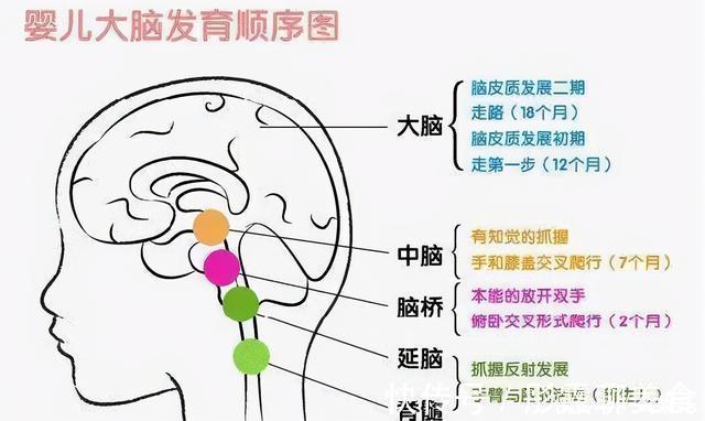 哈佛|哈佛研究发现:孩子一生只有1次变聪明的机会,抓住一个就稳了
