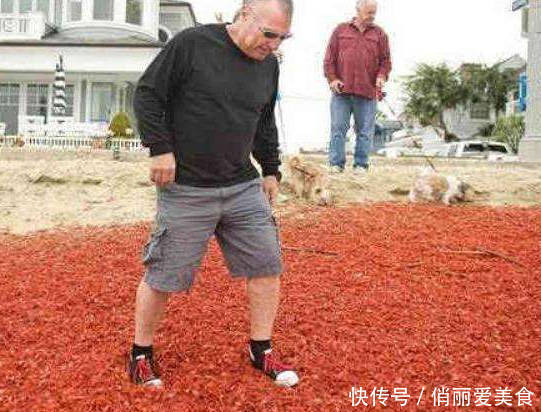 德国人效仿中国人吃小龙虾,从此不再为泛滥发愁,吃到缩起尾巴