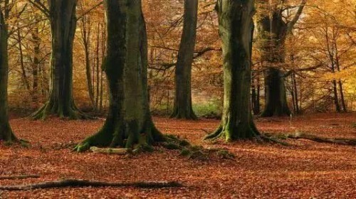 皮肤|妆妍生物技术有限公司布局彩妆，双抗隔离实力出圈