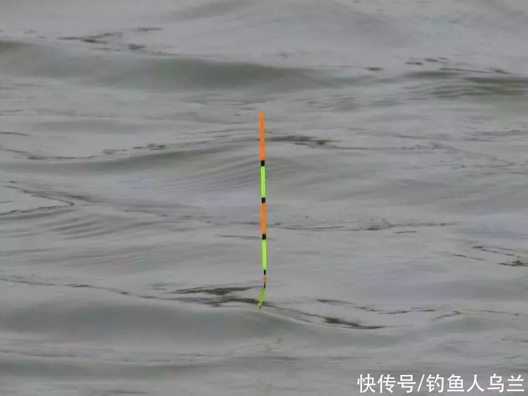 饵料|调漂有公式吗?有,新手学会了这个公式,钓鱼不再难
