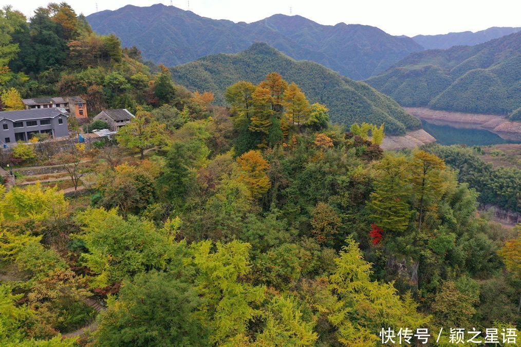 四明山赏秋胜地，茅镬秋色，至今游历25次