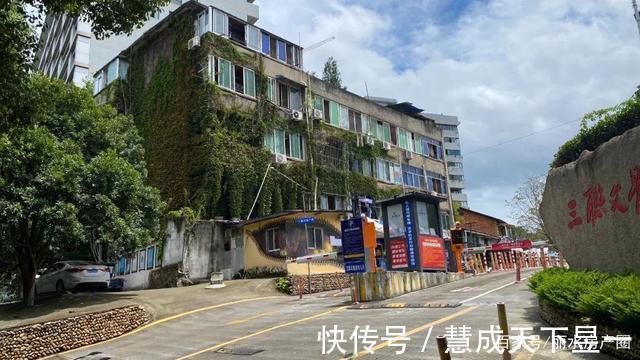 征收|丽水市区花园路上的这排老房子你注意到了吗居民们要迎来新生活