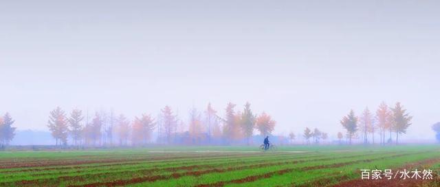 朋友|人到中年,只需要三个朋友