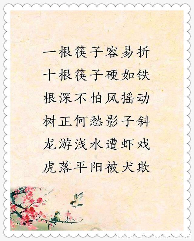 大智慧|老祖宗留下的金句，太经典了，句句都是大智慧