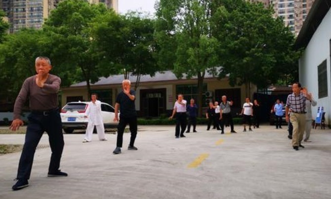 以看到|图中共有几只动物只看出5只痴呆,9只正常,16只以上还很健康