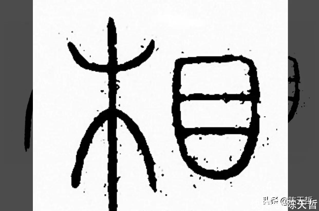 草书!“相”字草书字法,怀素四个两个差异巨大,其中一个似“求”字