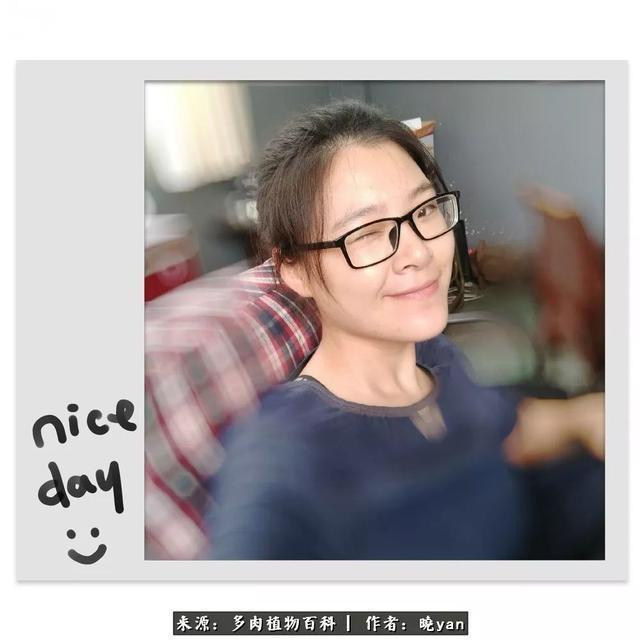 养多肉近四年,一路的走来,阳光总在风雨后!