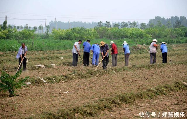 还过10年,农村最值钱的不再是土地,而是这3样!可别弄丢了