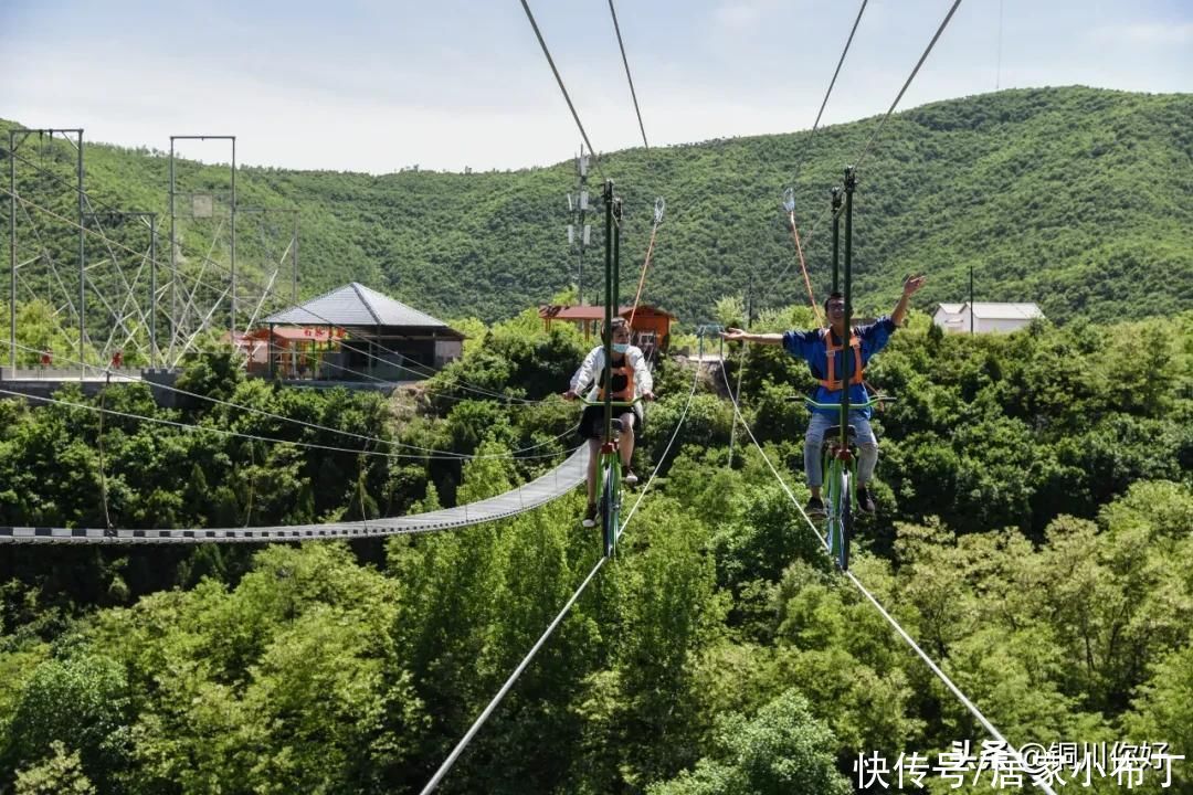 铜·热搜丨来铜川，一定要去金锁关石林