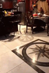 |搞笑gif:看了两遍,这脸打的,没法一起玩了!