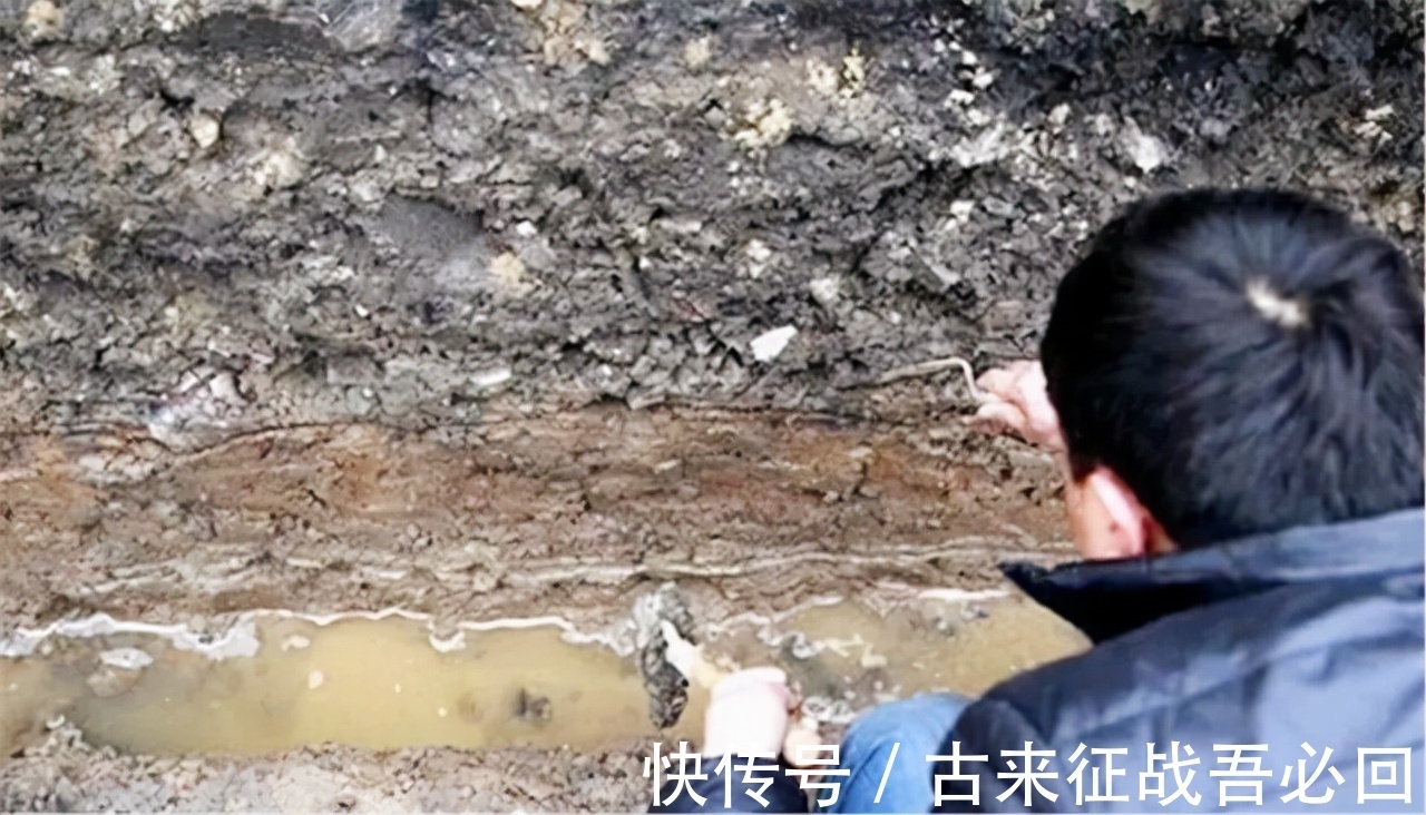 椁室|挖地基发现明朝古墓,全部墓墙都用青花瓷堆成,专家:从没见过