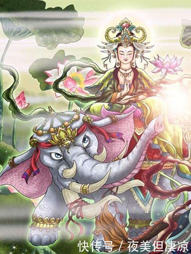 福报|佛教佛说,这七种布施不花一分钱,就能得福报!