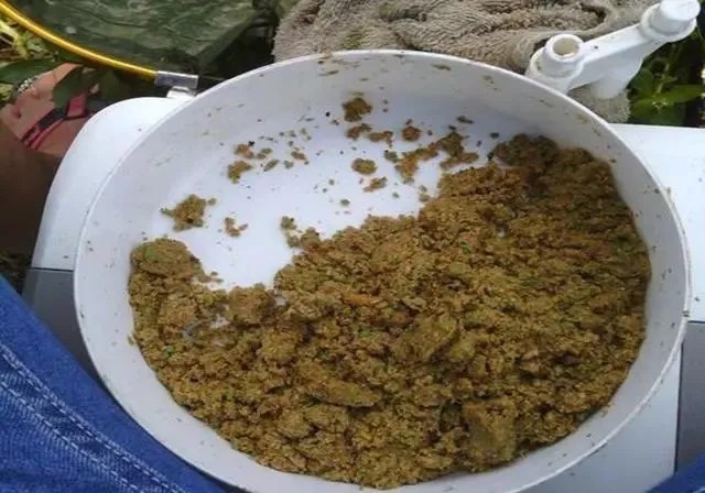 饵料搭配,看似无所谓,实则对渔获影响非常明显,一定要记牢!