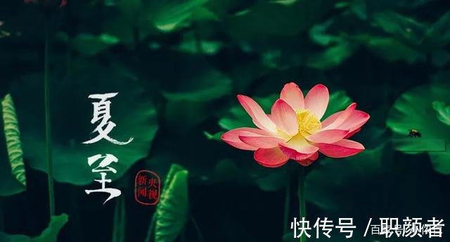 夫妻|农村俗语“过了夏至节，夫妻各自歇”，这是啥讲究？有道理吗？