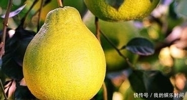 冬天，不妨多吃此水果，對身體十分有益，能預防高血壓，增強體質