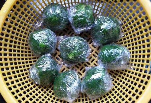 荠菜|用它包饺子,比白菜萝卜鲜,再贵也要吃,我家一周吃4次