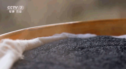 山药|入秋以后,吃这些食物,补一补被夏天掏空的身体!