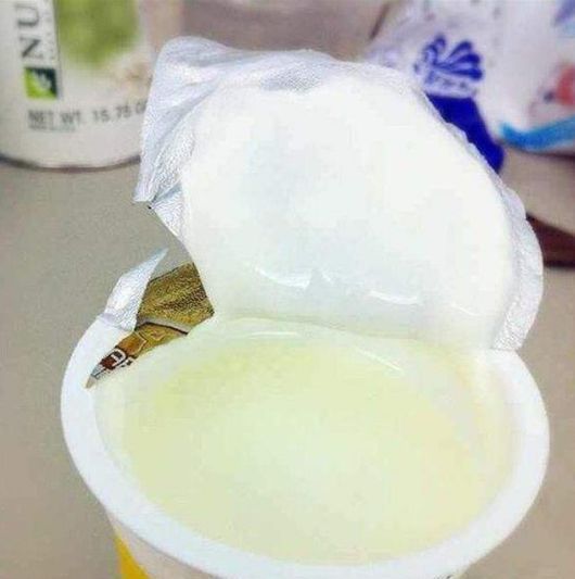 掉叶发黄快枯死的文竹怎么急救给它喝点酸奶,一个月爆盆绿油油