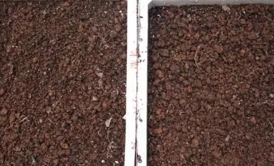 遍寻不到“酸性土”的情况下，该怎么让养花土从碱性变酸性？