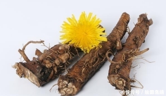 天敌|开水里放几片，肝炎的“天敌”，每天喝一点，逼出多年肝毒