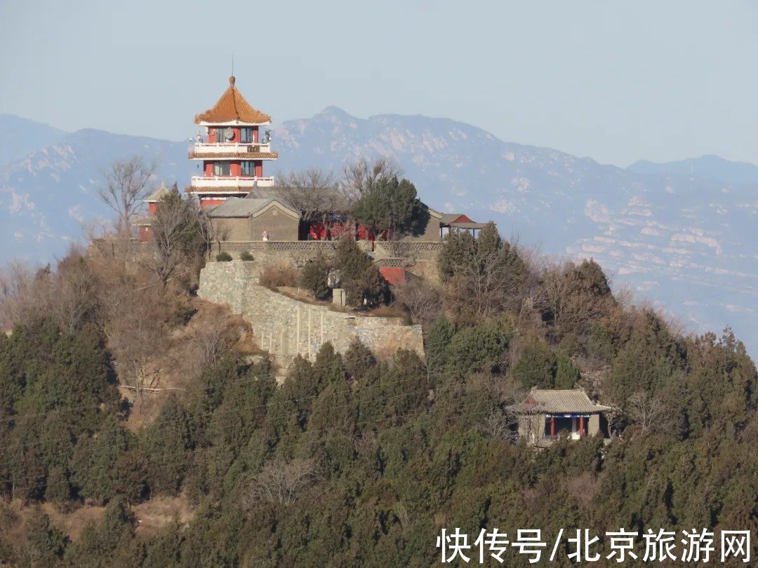 疫情|静美如诗，鸟鹊鸣啭，尽赏北京百望山冬日画卷~