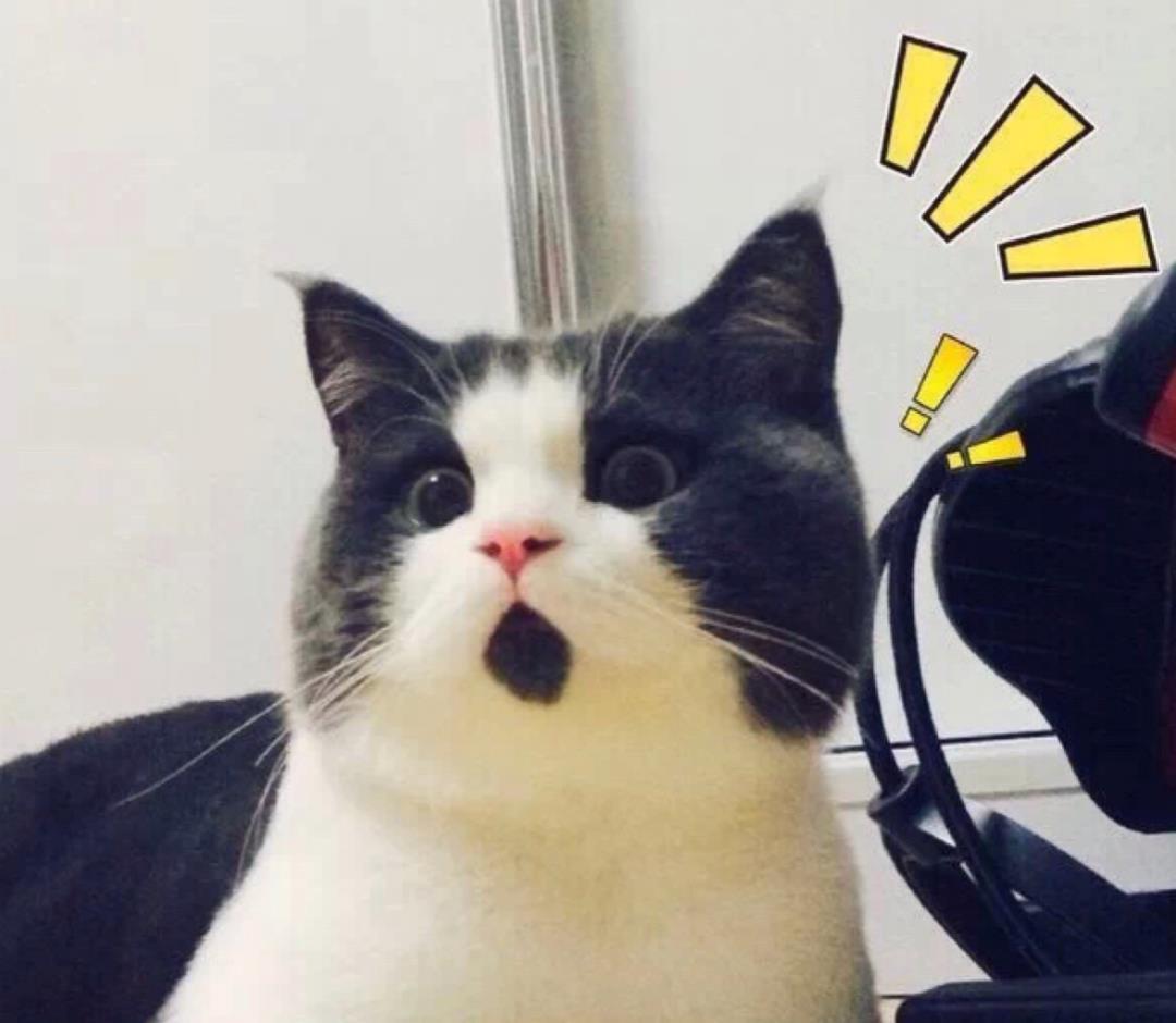 饮食习惯|千万不要阻止孩子吃零食!