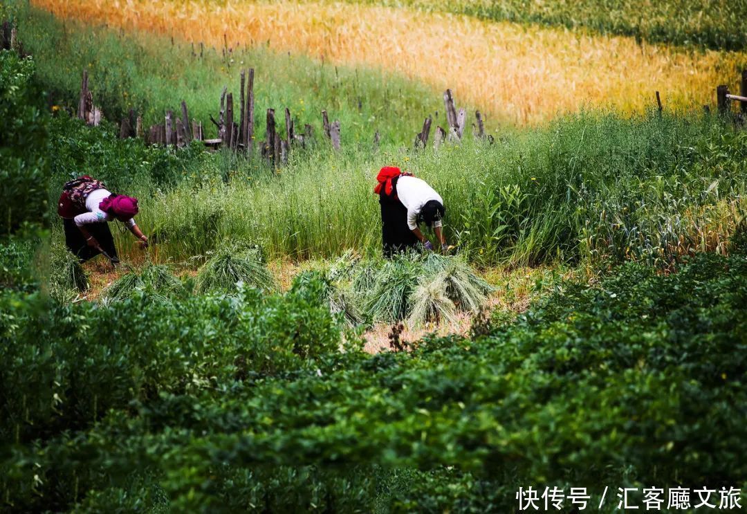 比新疆绚丽，比西藏神圣，《孤独星球》官宣亚洲Top1旅行地！