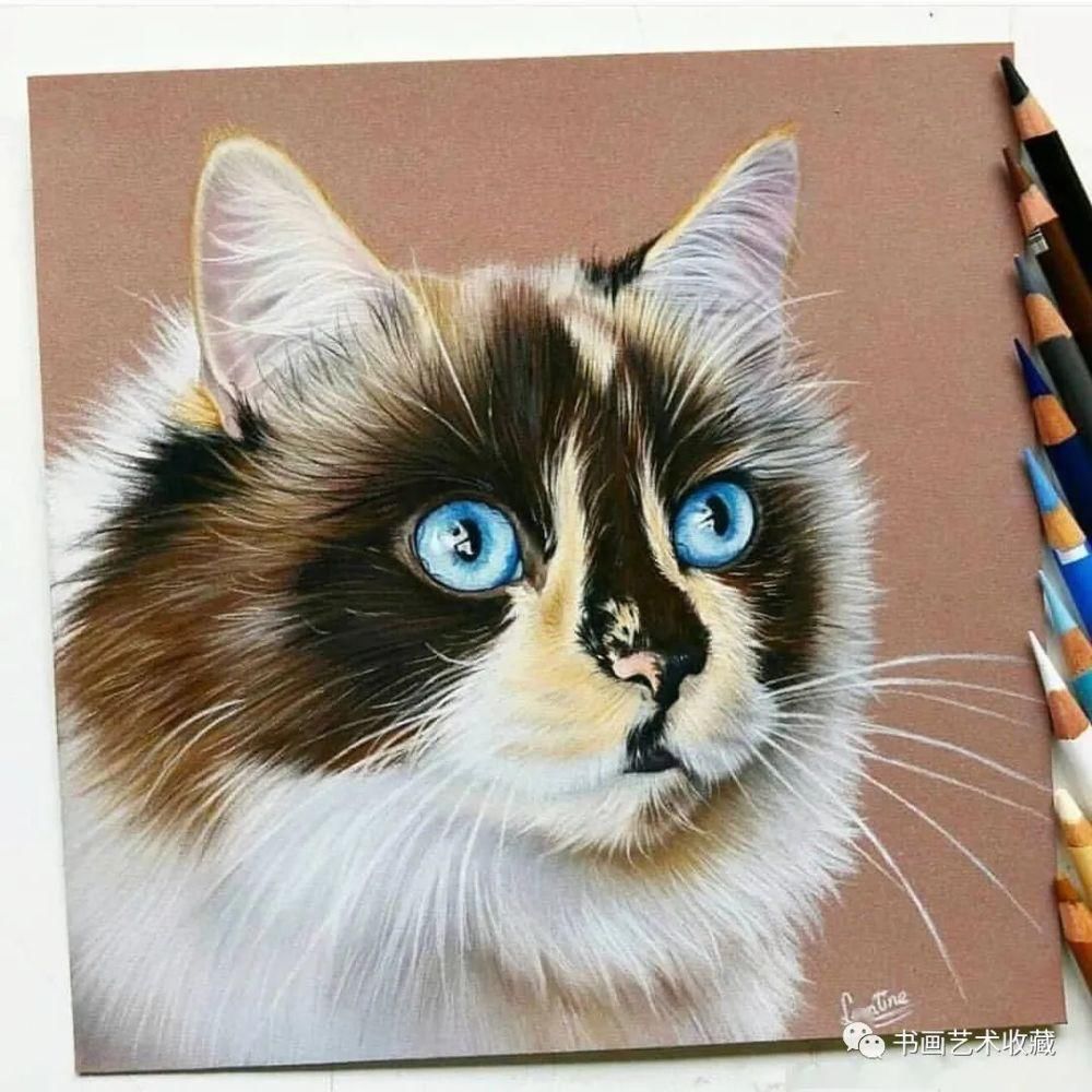  美女|一匹马画了16年！美女学渣逆袭成功，坚持下来很酷！