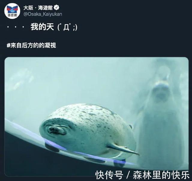 |男朋友:我太难了 冷段子1381 & 去年今日1071