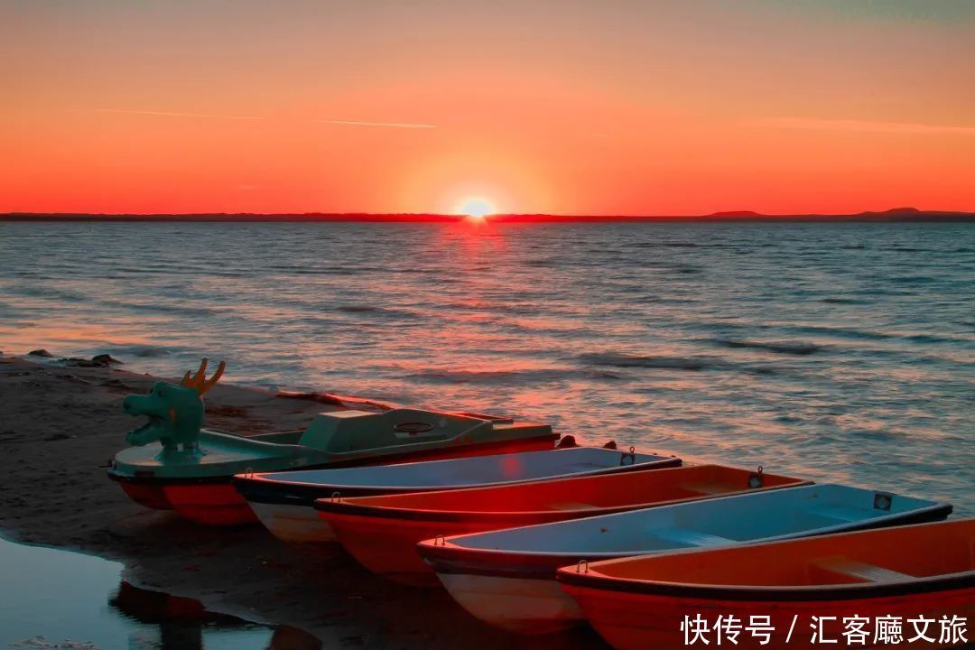 樟子松|这个夏天，我劝你一定要去一次内蒙古 ！