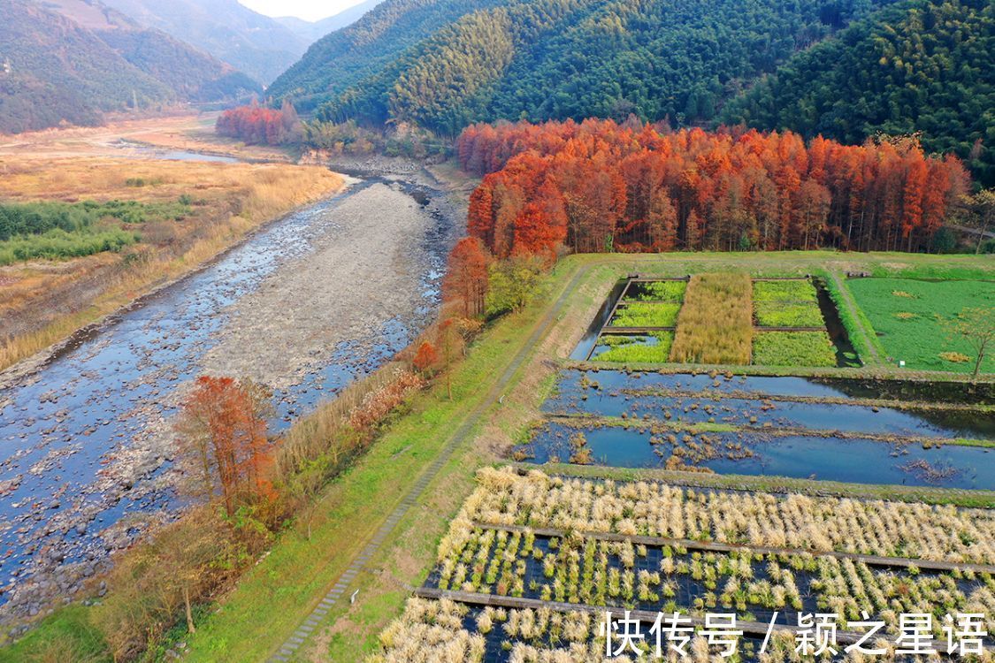 上虞区|最佳红杉林游访线路，全程六站，线路仅供收藏