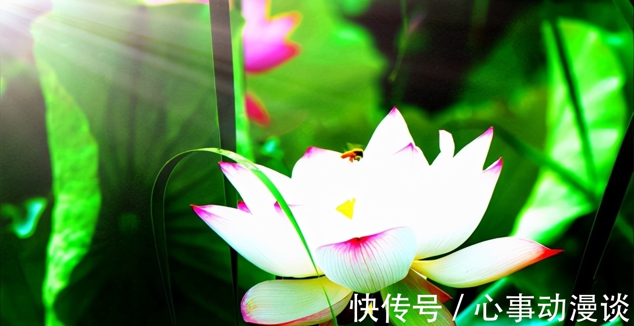 翰林学士!国学常用典故:八百孤寒和一饭千金是什么关系