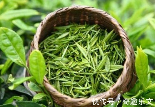 茶叶|饮用绿茶有什么好处？