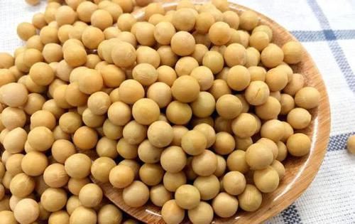 净化|天然的“溶栓王”终于被找到,每天吃一点,净化血液,远离血栓