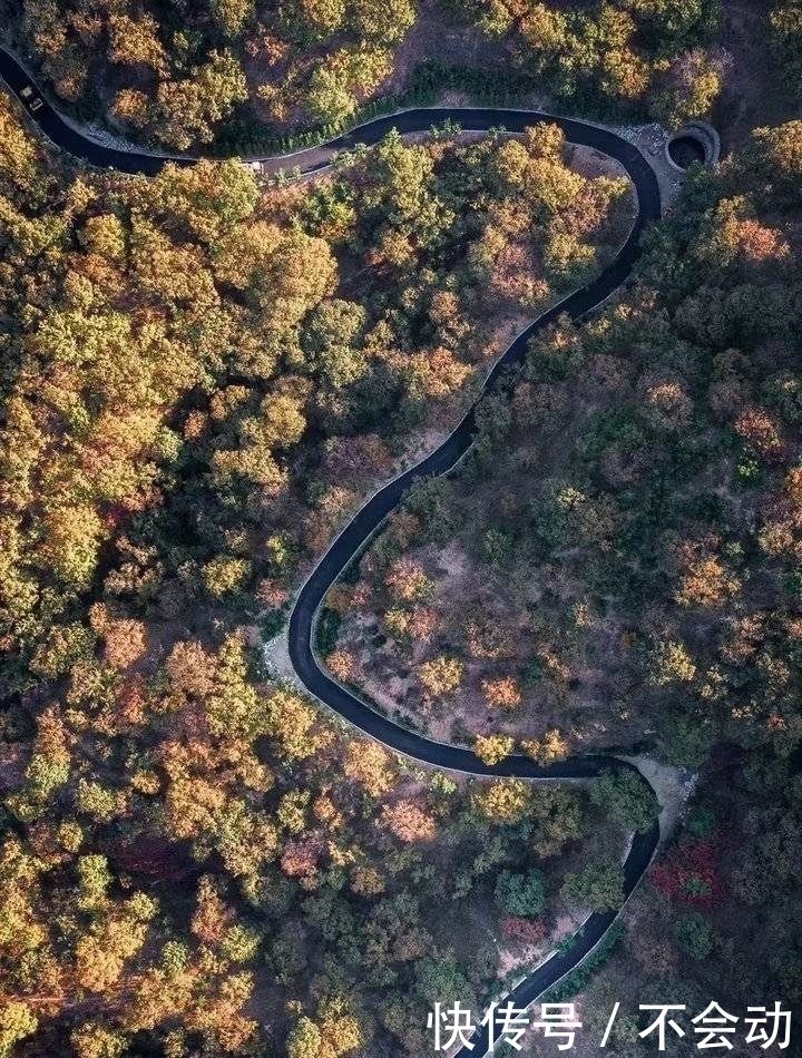 这儿有最美的公路，行走的山水画，速来打卡！！